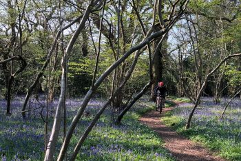 Cycle from Thornham Marina