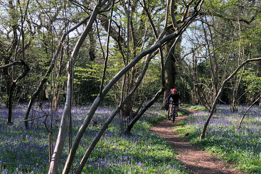 Cycle from Thornham Marina