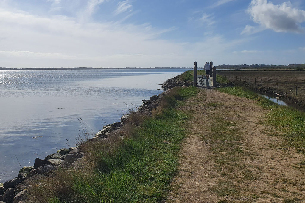 Walk from Thornham Marina